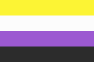 600px-Nonbinary_flag.svg
