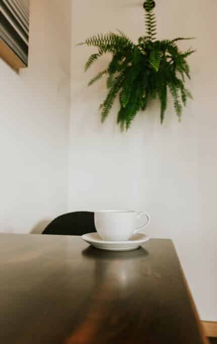 A white coffee cup sits on a saucer on a wooden table. A small black cushion or pillow is partially visible in the background. A green fern plant is hanging on the white wall behind the table.