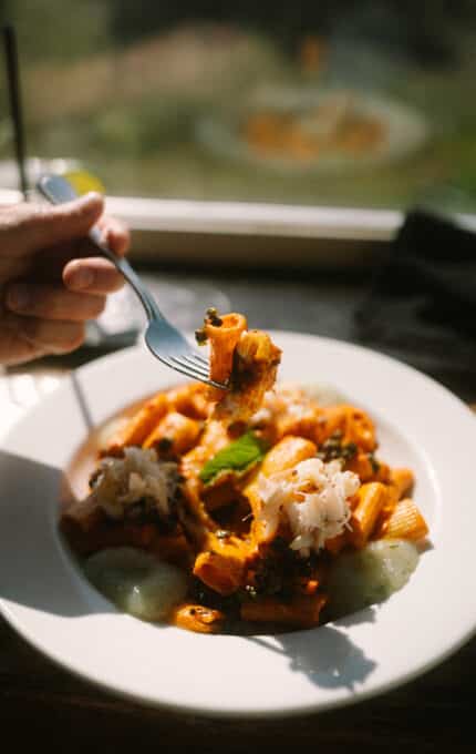A hand holds a fork with a bite of rigatoni pasta in tomato sauce, above a white plate containing more pasta, grated cheese, and green sauce. Sunlight streams in through a window in the background.