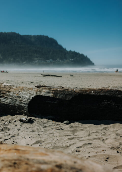A sandy beach with large driftwood logs in the foreground, distant people near the shoreline, and a forested hill in the background under a clear blue sky.