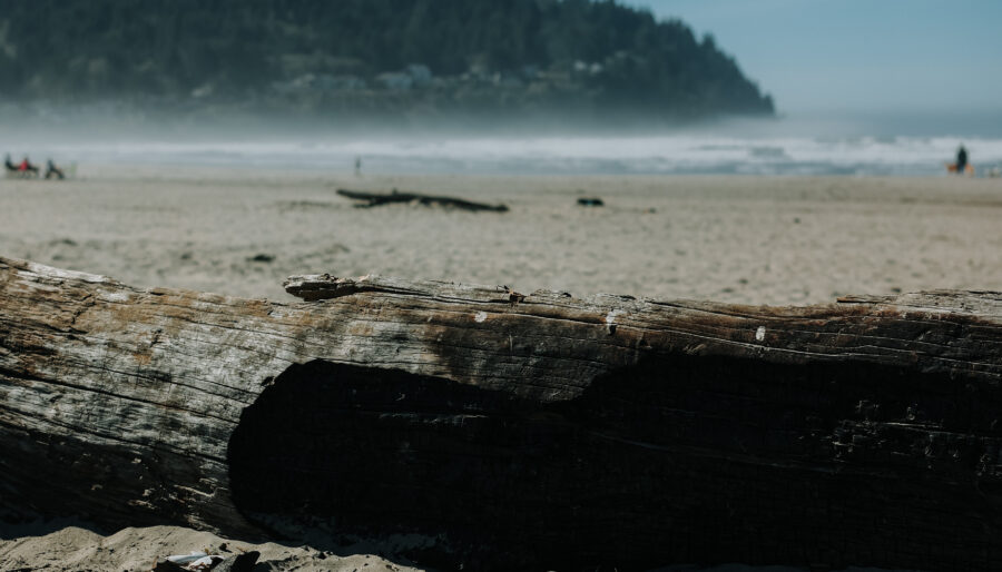 A sandy beach with large driftwood logs in the foreground, distant people near the shoreline, and a forested hill in the background under a clear blue sky.