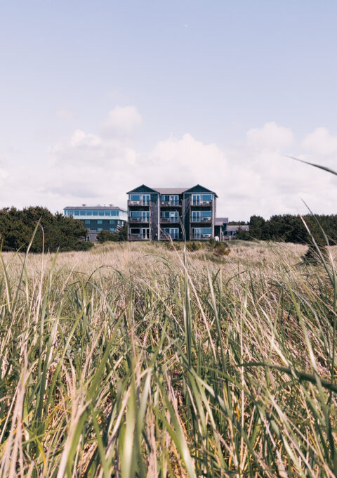 A three-story blue building with balconies is seen in the distance behind tall grass, under a mostly clear sky with some clouds. Trees are visible in the background around the building.