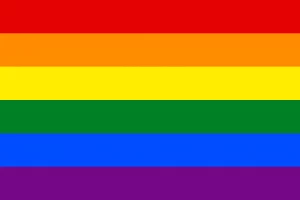 The Six Color Pride Flag