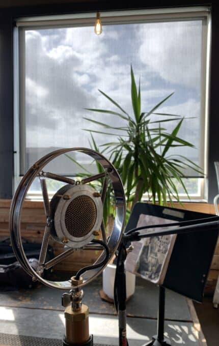 A vintage-style microphone stands in front of a large window with partially drawn blinds, allowing light to filter in. A tall potted plant is positioned to the right, with various musical equipment and a music stand in the background.