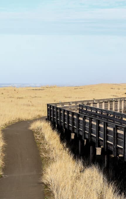 A narrow asphalt path runs parallel to a wooden boardwalk through a dry, grassy field. The boardwalk leads towards the ocean, visible in the background. The sky is clear with a few clouds.