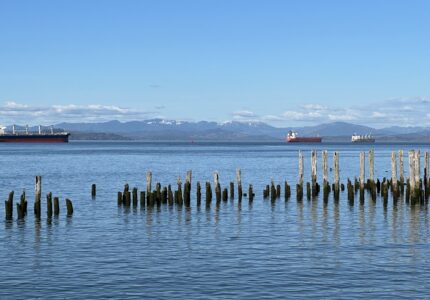 IMG_8450