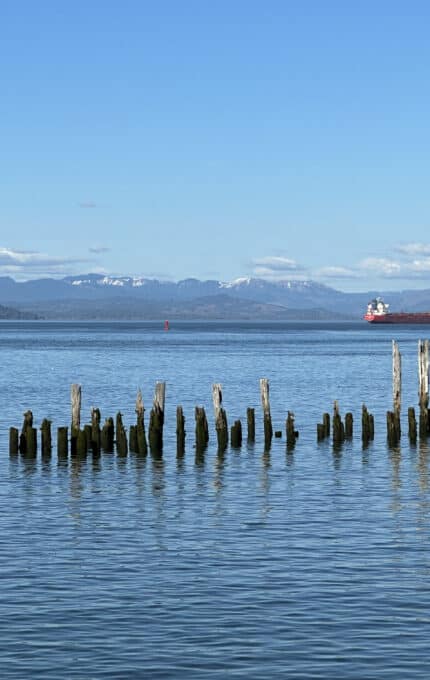 A calm body of water with wooden posts protruding from the surface. Two large cargo ships are visible in the distance, with mountains under a clear blue sky in the background.