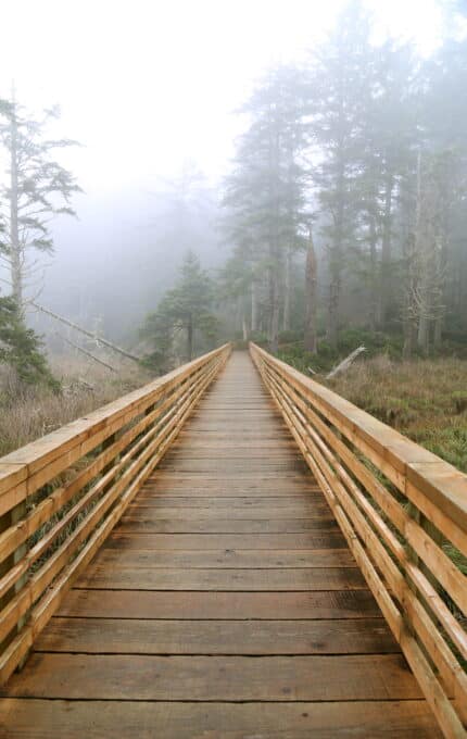 A wooden boardwalk extends into the distance, surrounded by tall trees. The area is shrouded in light fog, creating a tranquil and misty atmosphere.