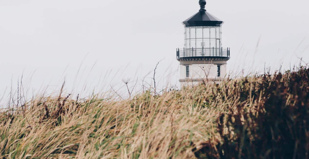 A distant lighthouse stands against a cloudy sky, partially obscured by tall, windswept grass in the foreground.