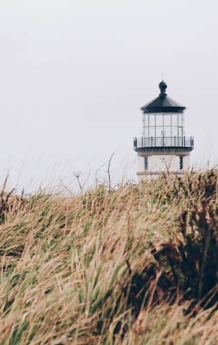 A distant lighthouse stands against a cloudy sky, partially obscured by tall, windswept grass in the foreground.