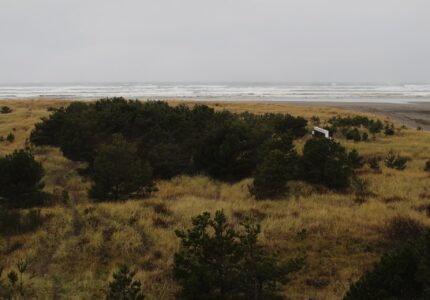 A coastal landscape shows a sandy beach with scattered vegetation and small trees, leading to the ocean. Waves are visible under an overcast sky. A small white structure is situated among the bushes in the middle distance.