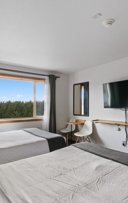 A hotel room with two neatly made beds with white bedding and gray throws. A large window offers a view of trees. There is a wall-mounted flat-screen TV, a mini-fridge, a small desk area with an Eames-style chair, and subdued decor.