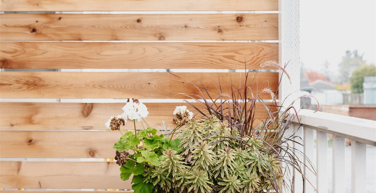 A potted plant with green foliage and some white flowers sits on a black stand on a wooden deck. The background features a wooden privacy screen and a white pergola overhead. There is a white railing on the right side of the deck.