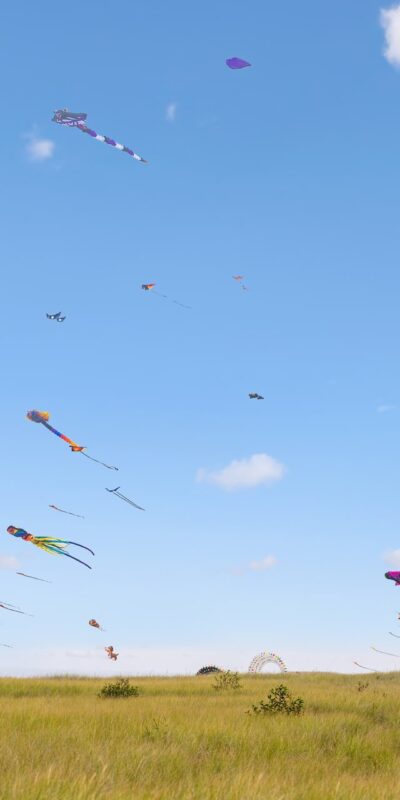 A field with numerous colorful kites flying in the sky. A few small bushes are scattered across the grassy landscape, and two people are visible in the background. The sky is mostly clear with a few scattered clouds.