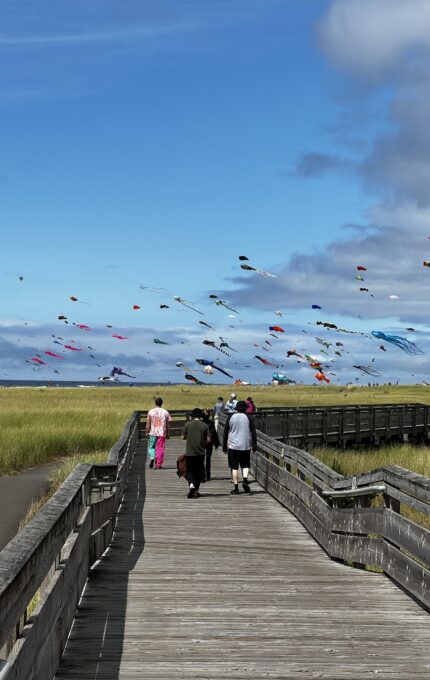 People are walking along a wooden boardwalk that stretches through a grassy area towards the sea. The sky is filled with many colorful kites of different shapes and sizes. The weather is partly cloudy with patches of blue sky.