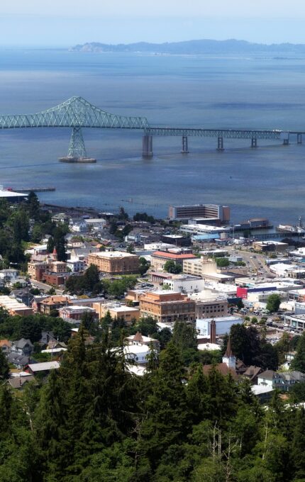 Aerial view of a coastal town with a prominent bridge spanning a large body of water. The town has a mix of residential, commercial, and industrial buildings surrounded by greenery. The bridge connects to a landmass in the distance across the water.