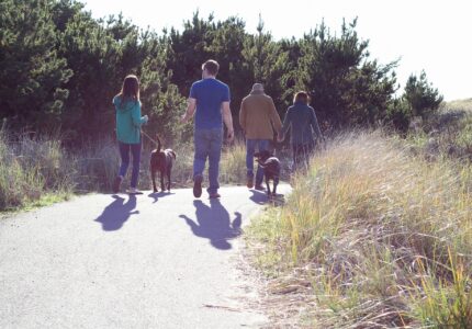 Four people are walking on a paved path, accompanied by three dogs. The area is surrounded by tall grass and greenery. Two of the people in the front are holding hands. The sun casts long shadows onto the path.