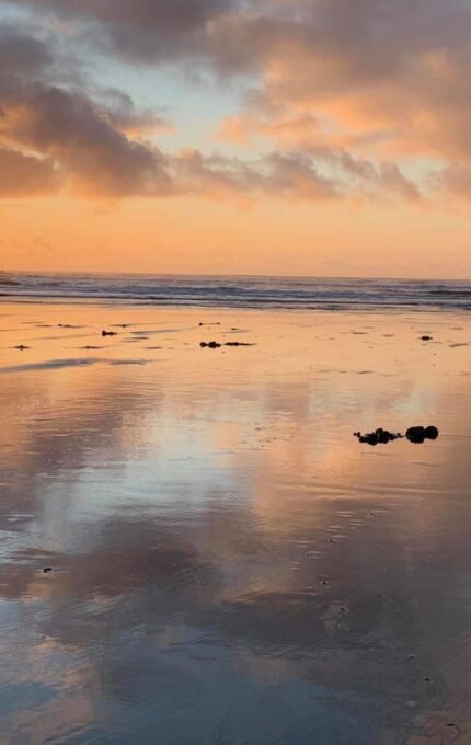 A person and a small child dig in the wet sand on a beach at sunset. The sky is partly cloudy, with the sun near the horizon casting a reflection on the wet sand. Small patches of seaweed are scattered around the beach.