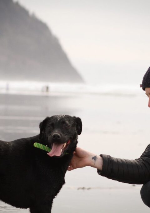 A man crouches on a beach, smiling at a black dog with a green toy in its mouth. The man is wearing a dark beanie and jacket, and the background features a misty shoreline with a hill in the distance.