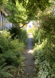 A narrow stone pathway leads through dense green foliage and plants toward an area with increased sunlight at the end. The path is shaded by trees and bordered by various leafy plants, creating an enclosed, tranquil garden atmosphere.