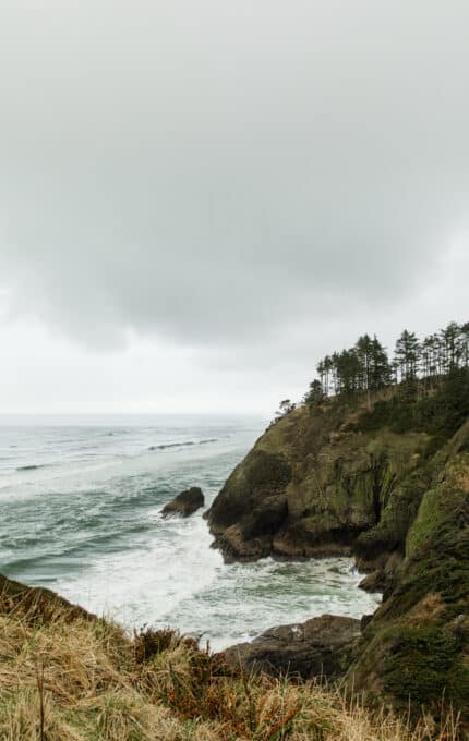 Coastal landscape with a rocky cliff and dense evergreen trees overlooking the ocean. Waves crash against the rocks below under an overcast sky. Grassy foreground with scattered shrubs. The scene conveys a sense of rugged natural beauty.