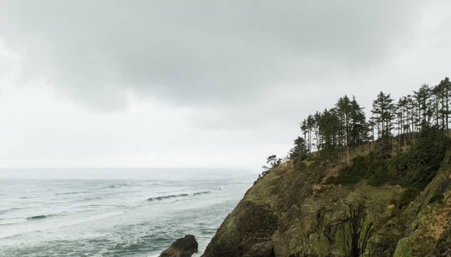Coastal landscape with a rocky cliff and dense evergreen trees overlooking the ocean. Waves crash against the rocks below under an overcast sky. Grassy foreground with scattered shrubs. The scene conveys a sense of rugged natural beauty.