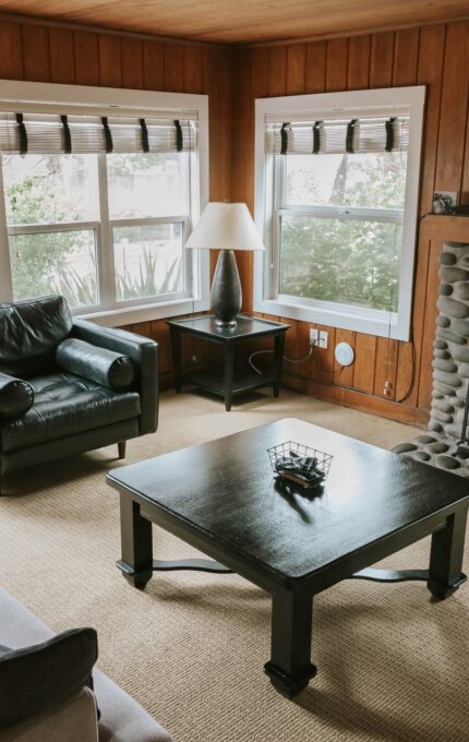 A cozy living room featuring wood-paneled walls and large windows with white frames. The room contains a gray sofa, a black armchair, a black coffee table, a fireplace with a stone surround, and a wall-mounted TV. A lamp and a small basket are also present.