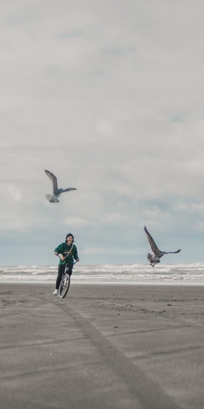 A person rides a bicycle on a wide, empty beach under a cloudy sky. Several seagulls are flying above, and the ocean waves are visible in the background.