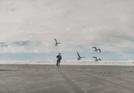 A person rides a bicycle on a wide, empty beach under a cloudy sky. Several seagulls are flying above, and the ocean waves are visible in the background.