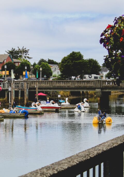 A calm river scene with pedal boats shaped like swans and a yellow water bike on the water. In the background are houses and a bridge. There is a potted hanging flower basket in the foreground to the right. People can be seen on the boats and along the river.