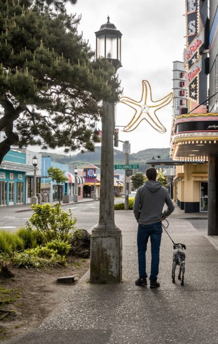 A person, wearing jeans and a jacket with a hood up, walks a dog on a sidewalk next to a building with a lit marquee and a large star-shaped decoration. A tree, street signs, and shops are visible along the street, with cars and traffic lights in the distance.