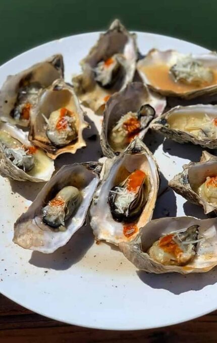 A white plate with opened oysters topped with a sauce, placed on a wooden surface. The oysters are arranged sporadically, showing their creamy interior and garnishing. The background is slightly out of focus but hints at an outdoor setting.