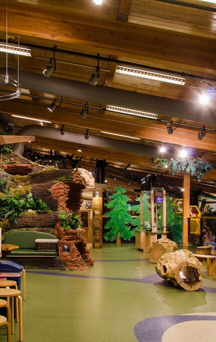 A spacious, indoor play area designed like a woodland scene. It features wooden beams, murals of trees, and play structures resembling logs and stumps. There are tables with stools to the left and a tent structure on the right. The space is well-lit.