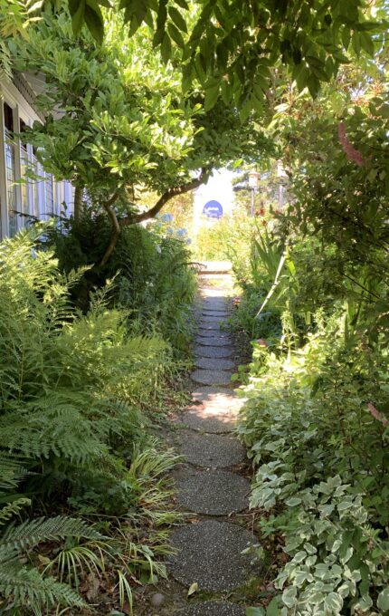 A narrow stone pathway winds through dense, lush green foliage, leading to a small arched opening. Ferns and various other plants line the path. Sunlight filters through the trees, highlighting parts of the pathway and vegetation.