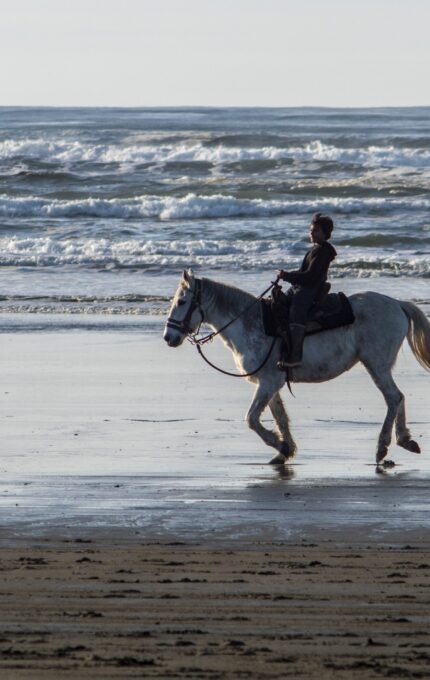 A person rides a white horse along the shoreline of a beach. The waves roll in the background, and the sand appears wet from the tide. The sky is clear and pale.