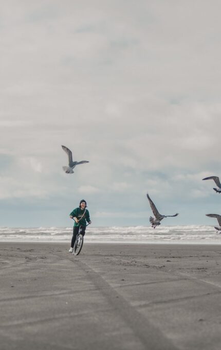 A person rides a bicycle on a wide, sandy beach under a cloudy sky. Several seagulls fly nearby, with the ocean waves visible in the background. The beach has tire tracks that extend into the distance.