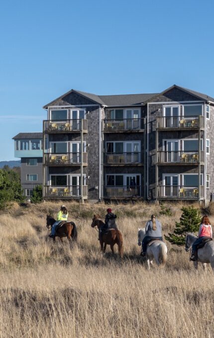 Four people ride horses on a grassy field near a row of multi-story houses with balconies. The sky is clear, and the scene is set in a residential area with greenery surrounding the buildings.