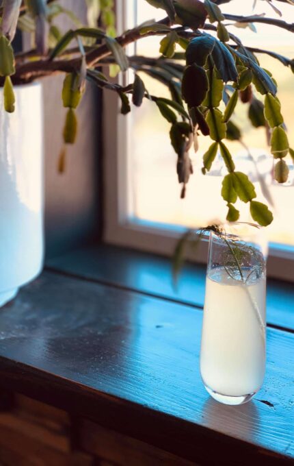 A tall, cylindrical glass filled with a light-colored drink is placed on a wooden windowsill next to a large white planter containing a green plant with elongated leaves. Sunlight is streaming through the window.