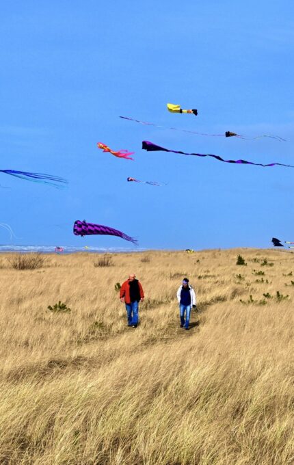 A grassy field near the ocean with people walking on a path. They are flying colorful kites, and a dog is running through the grass. The sky is clear with few clouds, and the waves of the ocean are visible in the background.