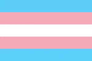 The Transgender Pride Flag