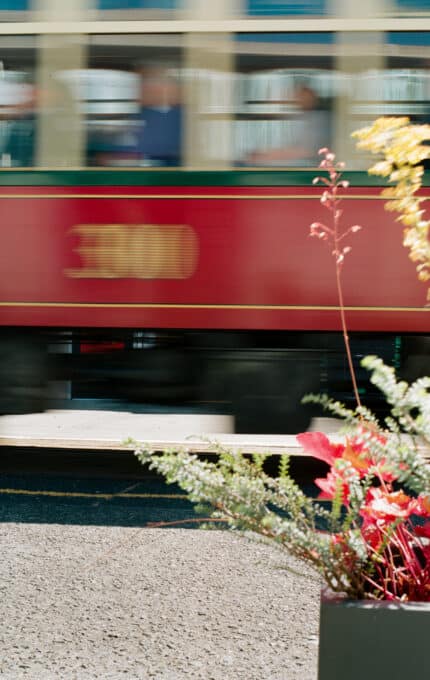 A red tram with blurred motion passes by on a street, with plant boxes containing red and yellow flowers visible in the foreground.