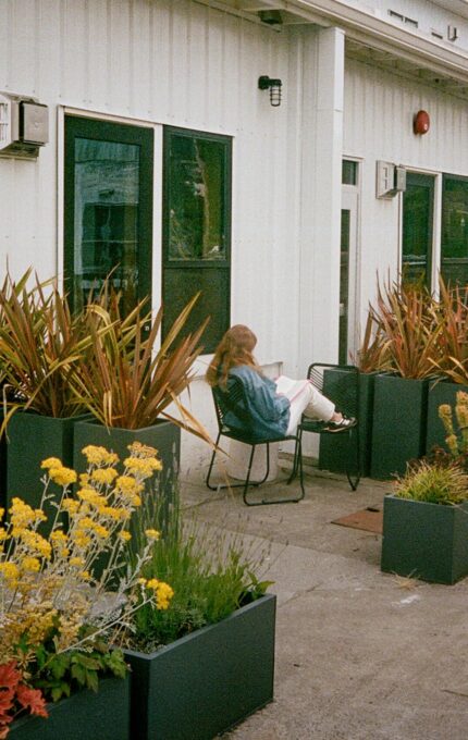 A person sits on a chair outside a white building with black doors, surrounded by tall rectangular planters containing spiky plants and yellow flowers.