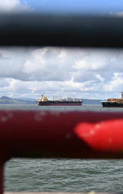 View of two cargo ships on the ocean, framed by a red metal railing in the foreground. The ships are under a partly cloudy sky, with distant hills visible on the horizon.