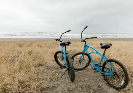 Two blue bicycles with black seats are parked on a grassy dune near a sandy beach. The ocean is visible in the background under a cloudy sky.