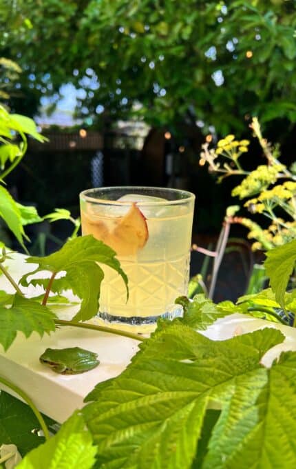 A glass of light-colored drink with a leaf inside sits on a white wooden railing surrounded by green leaves and plants, with trees and a shaded outdoor area in the background.