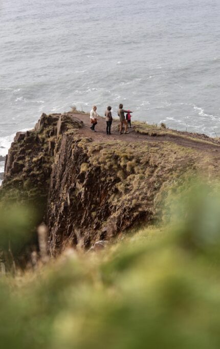 Four people stand on a rocky cliff overlooking the ocean, with waves below. The photo is framed by out-of-focus green branches in the foreground.
