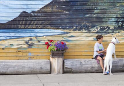 A child sits on a wooden log bench in front of a mural depicting a beach scene, petting a large white dog that is standing on its hind legs. A planter with colorful flowers is nearby.