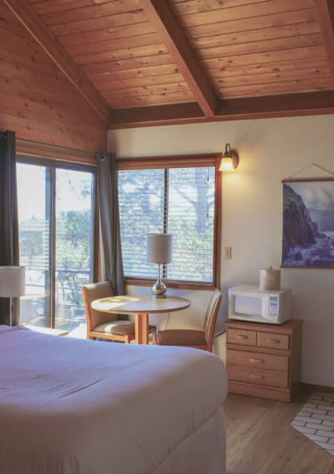 A cozy cabin room with wood-paneled walls and ceiling, a queen bed, small dining table with two chairs, microwave, dresser, wood stove, and large windows letting in natural light.