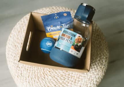 A cardboard box containing a blue tennis ball, a bag of Crown Tail organic dog treats, and a blue pet water bottle sits on a round woven stool.