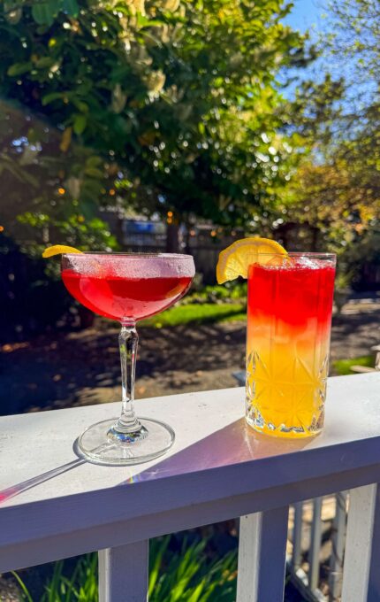 Guests enjoy vibrant cocktails in sunlit garden amidst lush greenery at boutique hotel, perfect for relaxation.